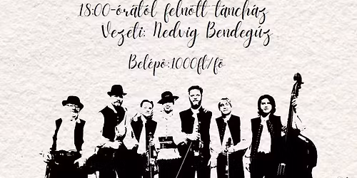 K\u00e1kics t\u00e1nch\u00e1z - MCC Sz\u00e9kesfeh\u00e9rv\u00e1ron