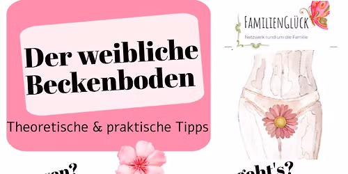 Der weibliche Beckenboden