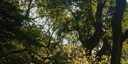 27\/07 - WALKS & TALKS: EVENING WALK IN MAL\u00c1 CHUCHLE WITH MARIE