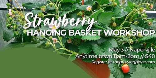 Strawberry Hanging Basket Workshop - Naperville