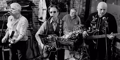 The Wild Swans - Live at Steam Town
