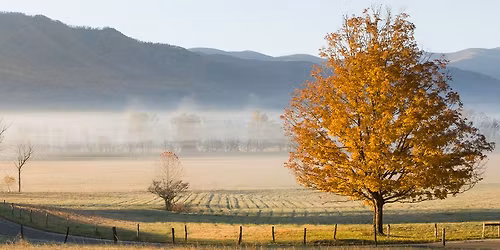 Smoky Mountain Photo Safari