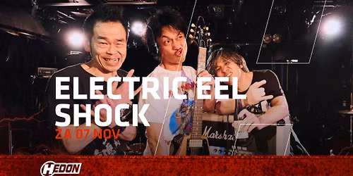 ELECTRIC EEL SHOCK | HEDON ZWOLLE