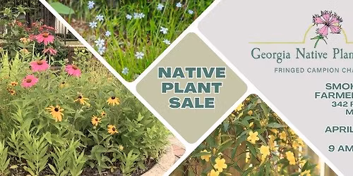 Native Plant Sale at Smoke Stack Market