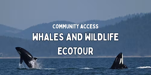 Community Access Whales and Wildlife Ecotour