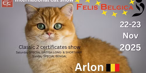 International FIFe cat show