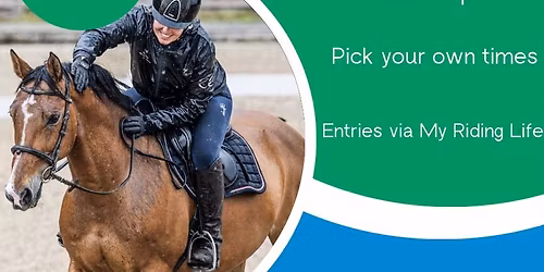 Stressless Dressage, TBQ