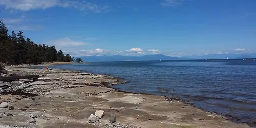 Special New Year Vision Workshop