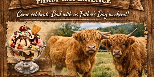 Father's Day with Cows and Baby Goats