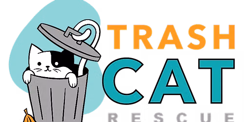 Kitty Yoga: Trash Cat Rescue at Rivers Club