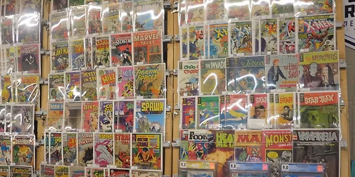 Woodstock Toy And Collectibles Expo