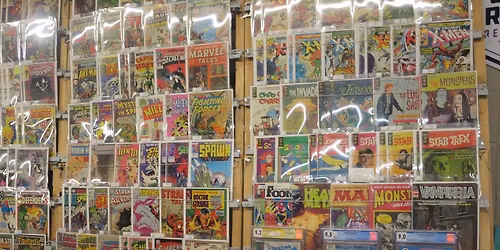 Woodstock Toy And Collectibles Expo