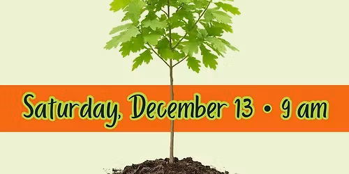 Playground Tree Planting