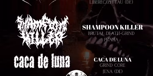 NIGHT MADNESS II. [PIKODEATH+SHAMPOON KILLER+CACA DE LUNA+KLUB SR\u00c1\u010c\u016e] - The Deep Liberec