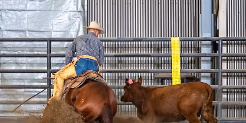 Holloway\u2019s Fundamentals & Cow Work Basic Clinic 