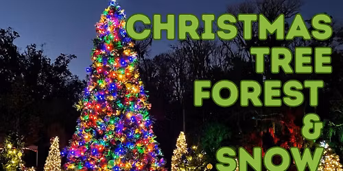 Christmas Tree Forest & Snow Flurries | Dec 1\u201325