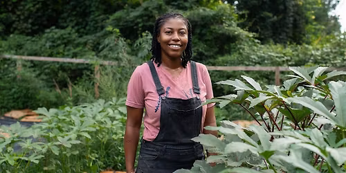 Make Your Own Natural Fertilizers: Fermented Plant Juices for the Garden