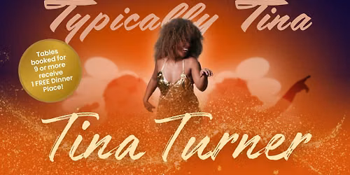 Tina Turner Festive Tribute Night