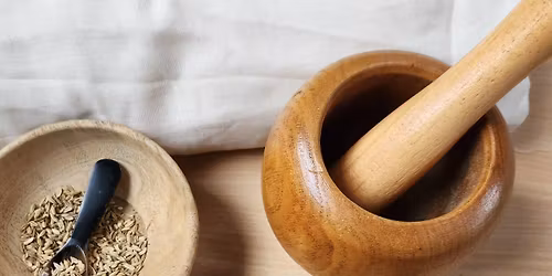 Family activity: Medicines of the Past