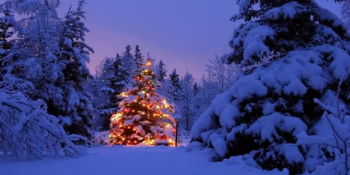StarShine at the Oliver House