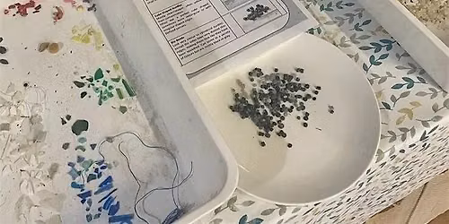 Microplastics Survey