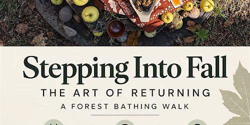 High Park Forest Bathing Walk