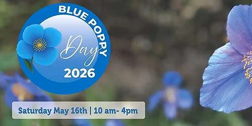 Blue Poppy Day