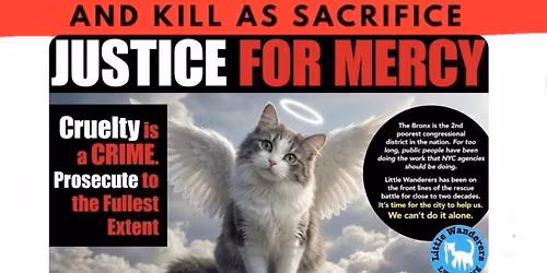 JUSTICE FOR MERCY \u2696\ufe0f\ud83d\udc3e