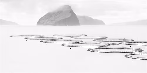 Monochrome Print League Competition - 3rd Round