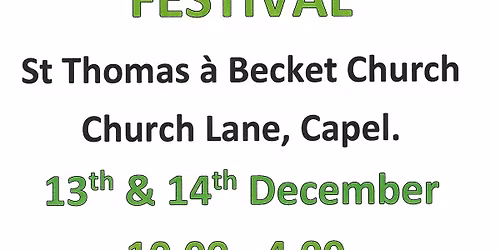 Christmas Tree festival 2025