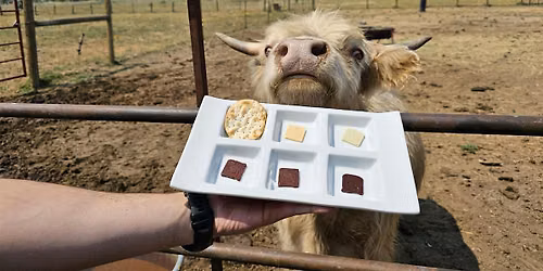 Cows, Cacao, & Clay: An Interactive Farm & Craft Experience