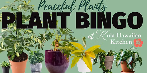 Plant Bingo with Peaceful Plants