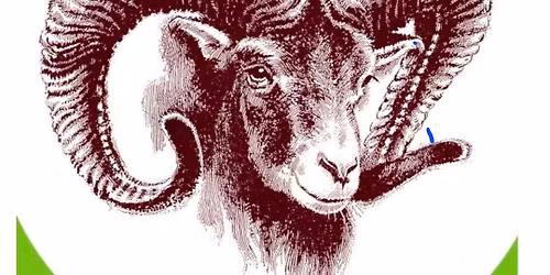 42. ro\u010dn\u00edk pochodu MUFLON\u00cd STOPOU