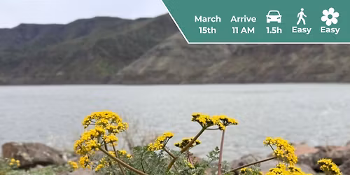 A Walk At Wawawai Park