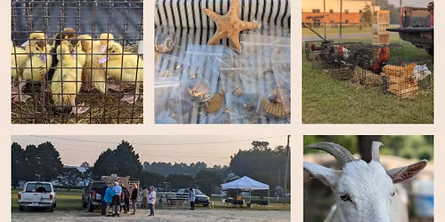 Vander Flock Swap & Farmers Market