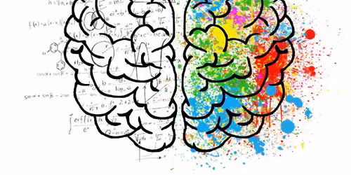 Foredrag | Typiske og atypiske hjerner