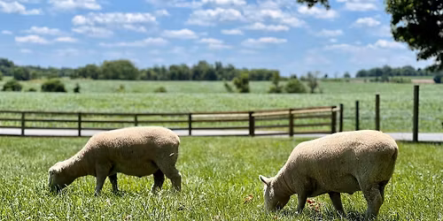 2026 WFF FARM STAND SEASON KICK-OFF