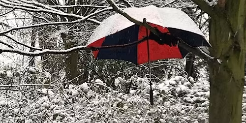 Serendipity and the Craft of Anthropology