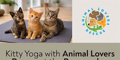 Kitty Yoga with Animal Lovers Rescue at the Peacemaker