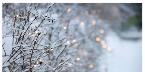 Winter Lights and Festival Nights presented by @MesquiteSymphony