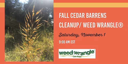 Fall Cedar Barrens Cleanup\/ W**d Wrangle\u00ae