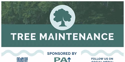 PHG Tree Maintenance: PVSP Hollofield Overlook