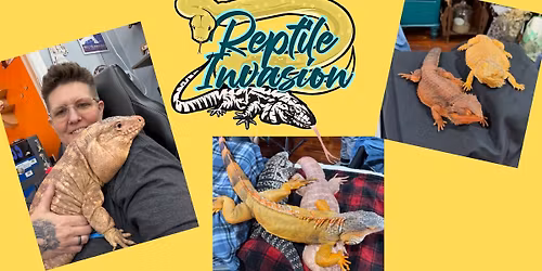 Reptile Invasion and Reptile Painting Event!