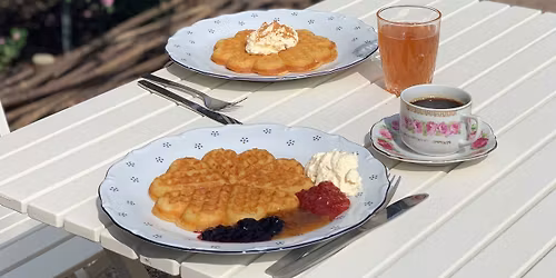 V\u00e5ffeldag f\u00f6r seniorer