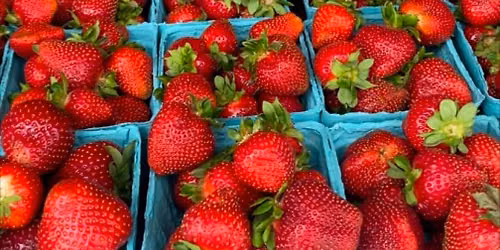 Annual Strawberry Social \ud83c\udf53