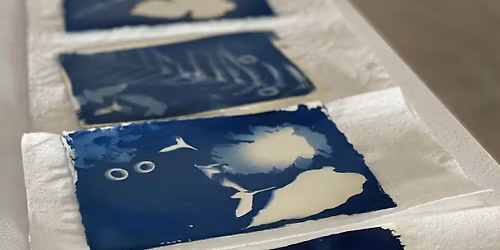 Make Mother's Day\/Mother Earth Gifts- Cyanotype Sun Prints With Plants