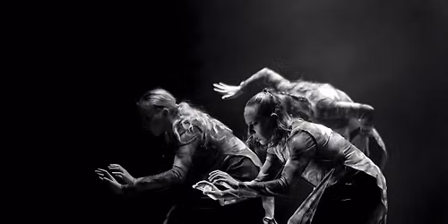 MIAF 2026 - Ashes2Ashes