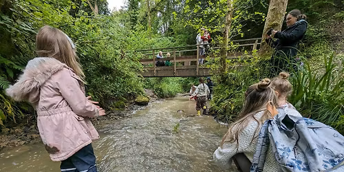 Family Friendly Welly Walk!