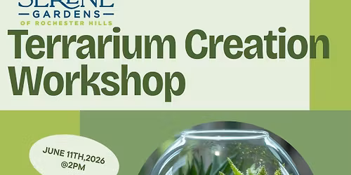 Terrarium Creation
