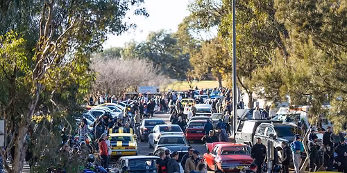 Canberra Cars N Coffee November 2025 Hosted by Thoroughbred Park